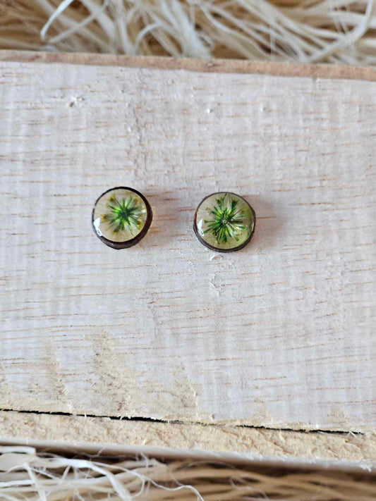 Petrified Flower Earring- Round Stud