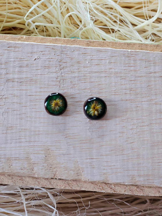 Petrified Flower Earring- Round Stud